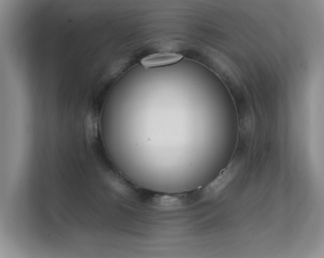 X0000111490180200907211017