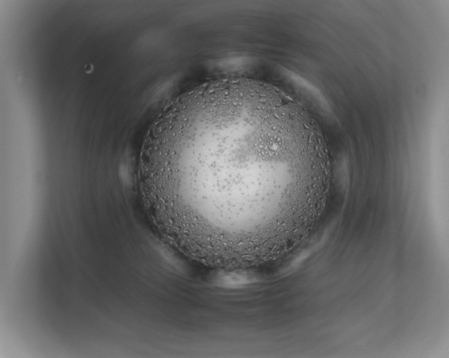 X0000111490181200907211017