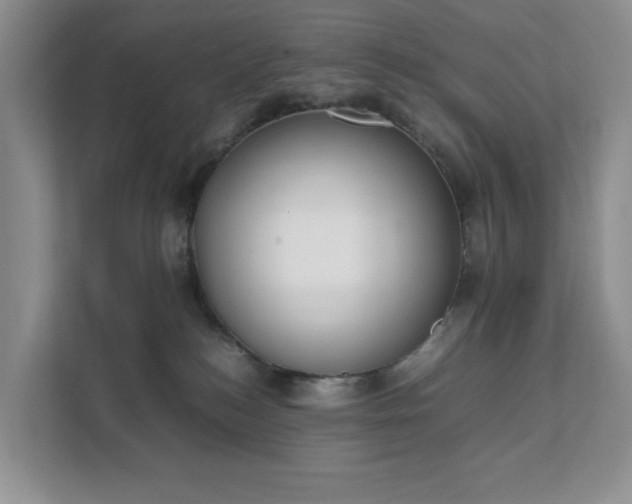 X0000111490184200907211017