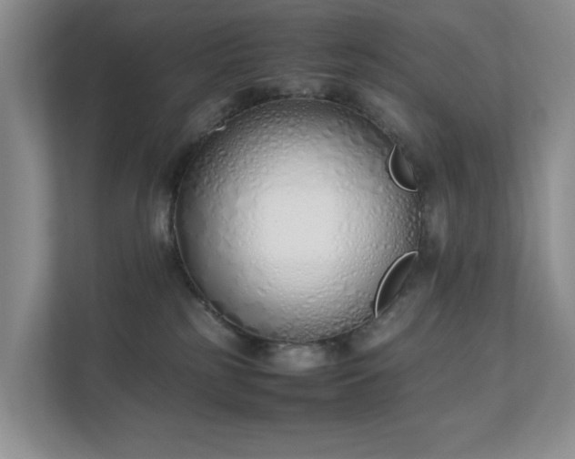 X0000111490185200907211017