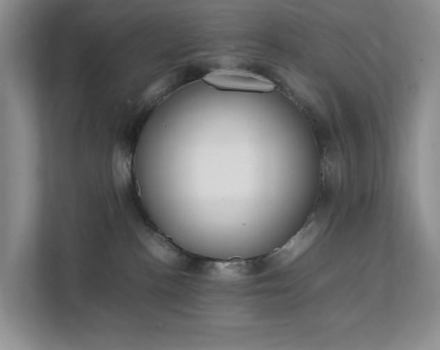 X0000111490188200907211017