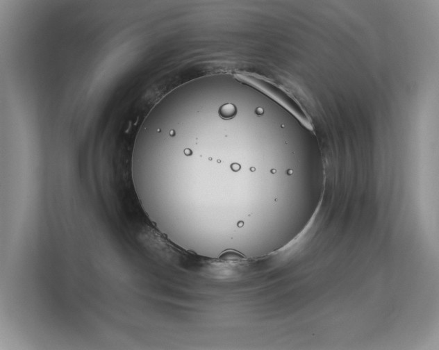 X0000111490190200907211017