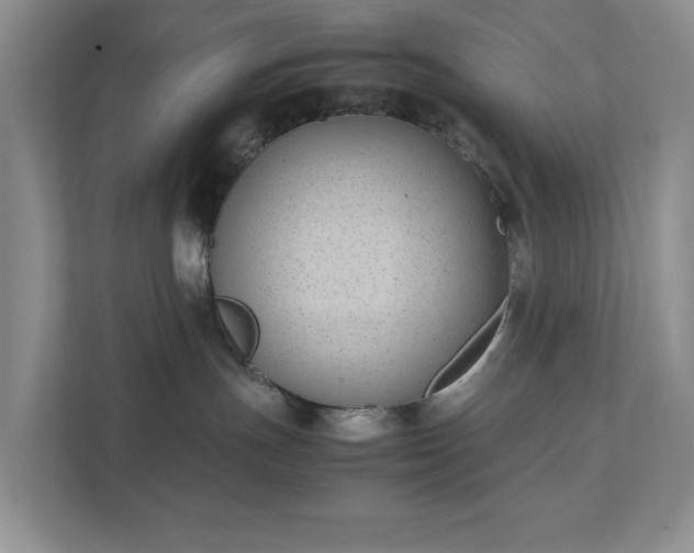 X0000111490191200907211017