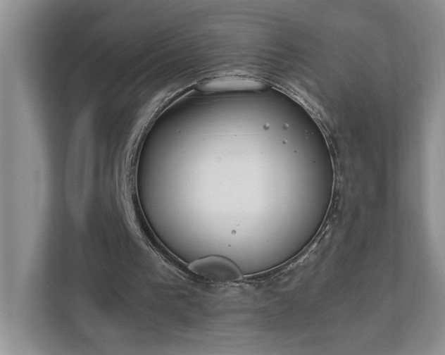 X0000111490193200907211016