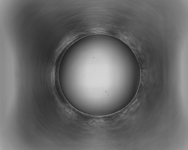 X0000111490194200907211016