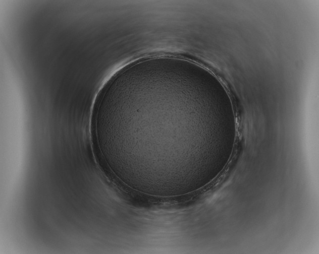 X0000111490196200907211016