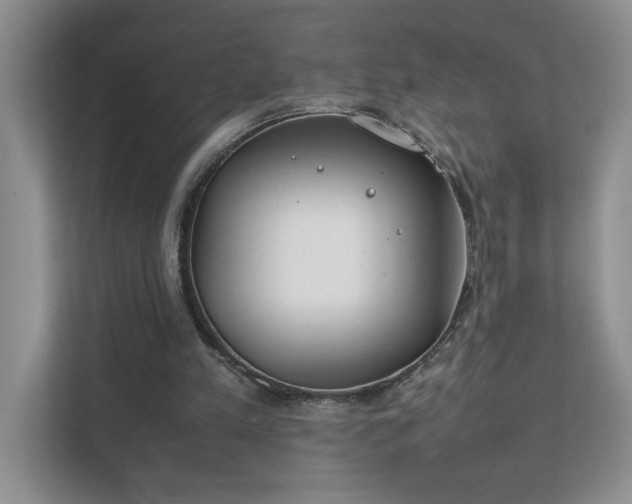 X0000111490197200907211016