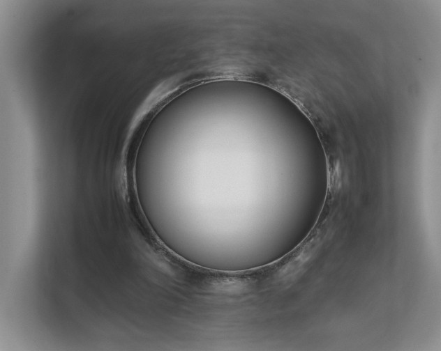 X0000111490198200907211016