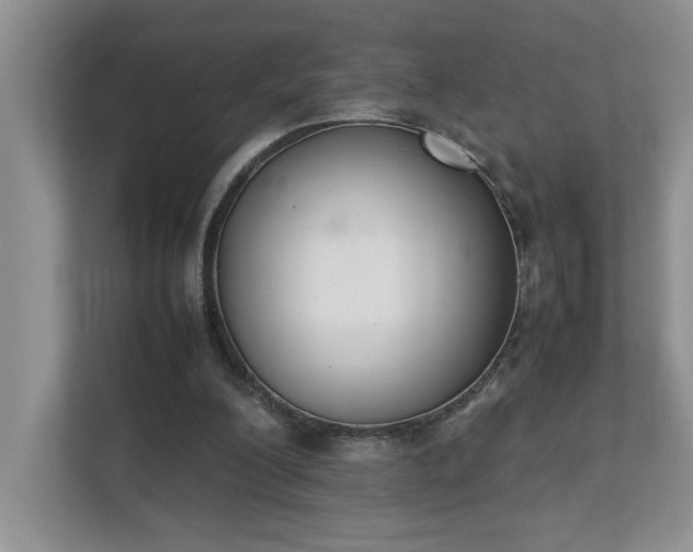 X0000111490200200907211016