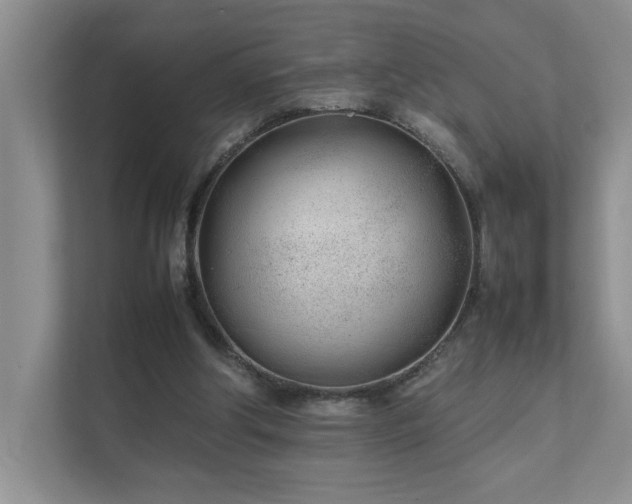 X0000111490202200907211016