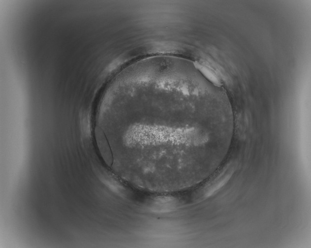 X0000111490203200907211016