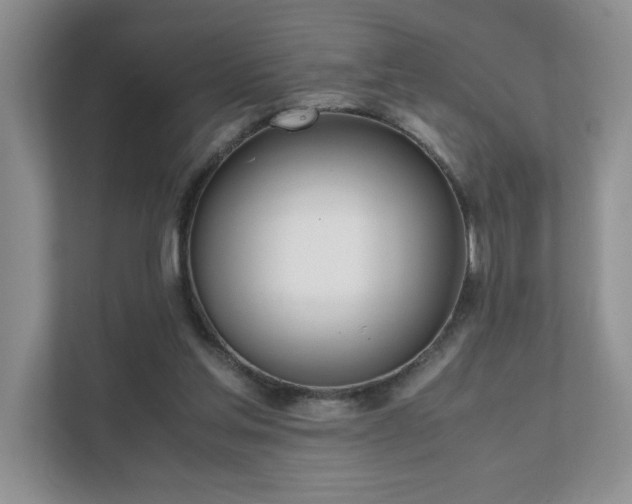 X0000111490205200907211016