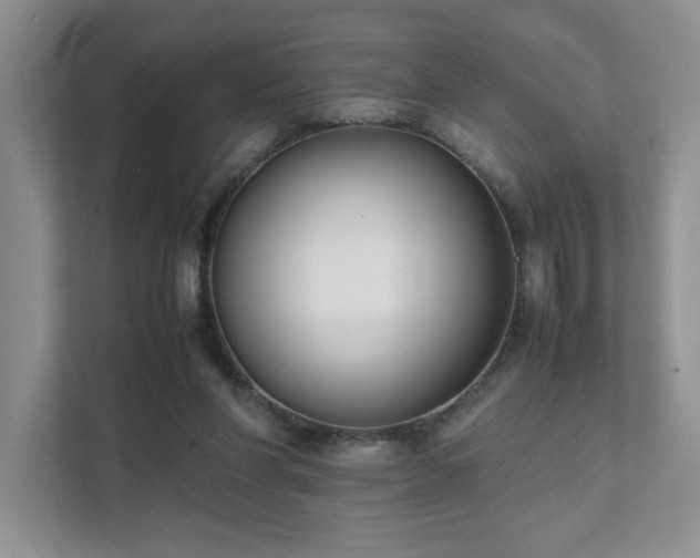 X0000111490206200907211016