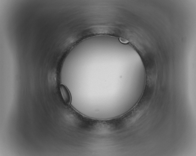 X0000111490207200907211016