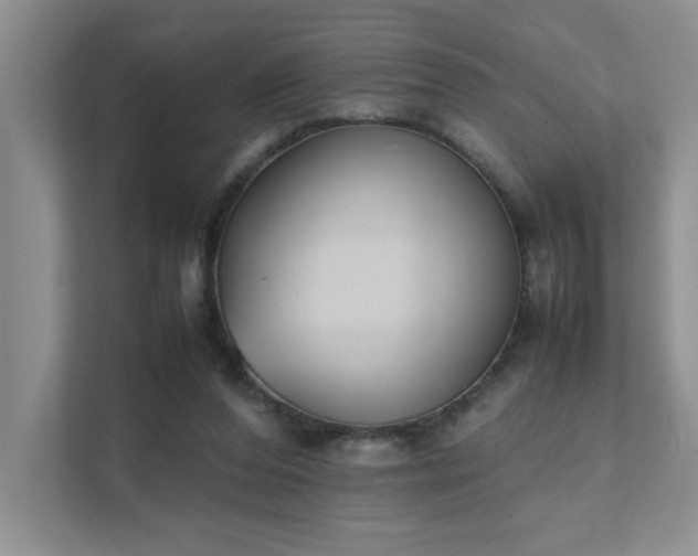 X0000111490208200907211016