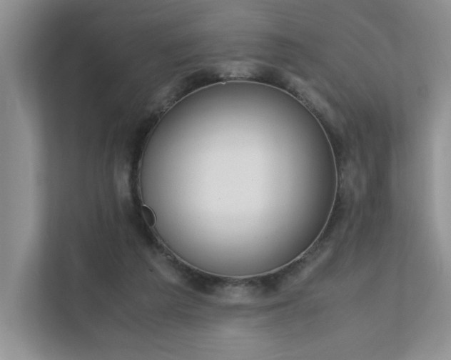 X0000111490209200907211016