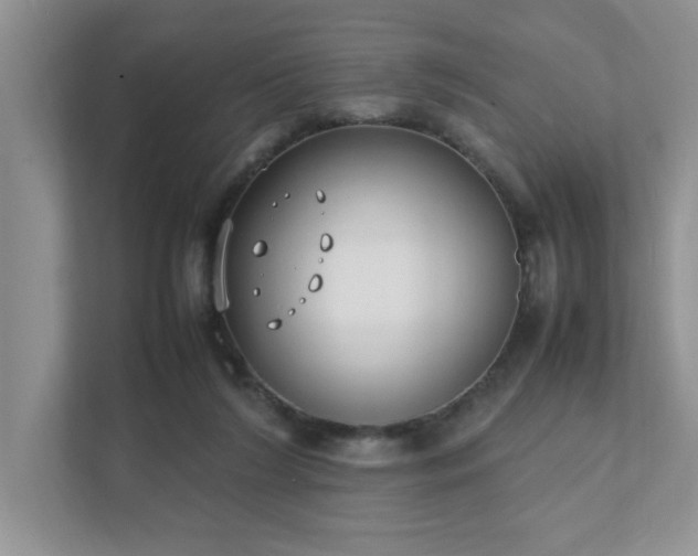 X0000111490212200907211016