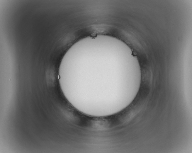 X0000111490215200907211016