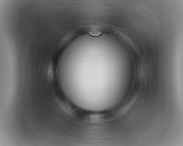 X0000111490216200907211016