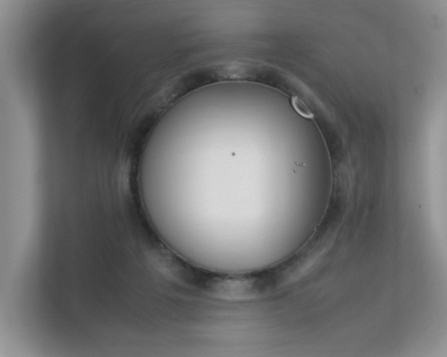 X0000111490217200907211016