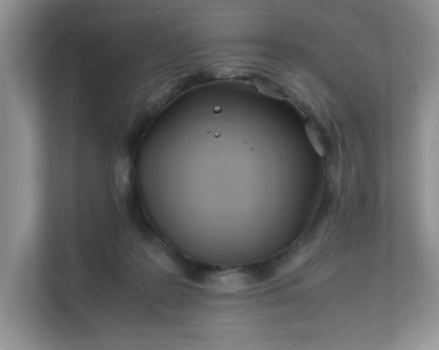 X0000111490219200907211016