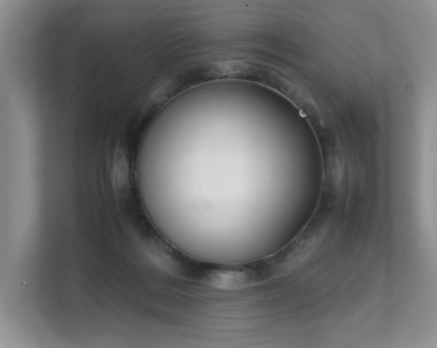 X0000111490220200907211016