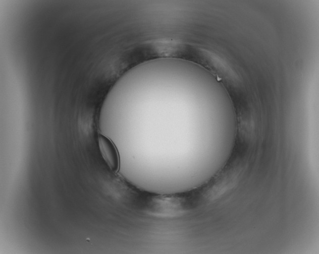 X0000111490221200907211016