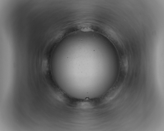 X0000111490224200907211016