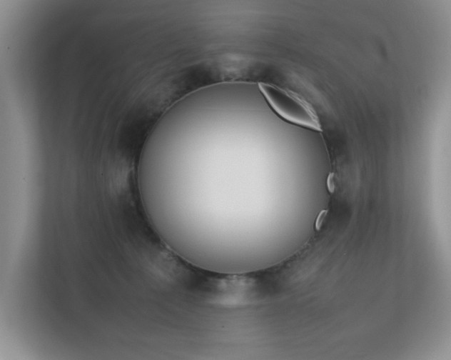 X0000111490225200907211016