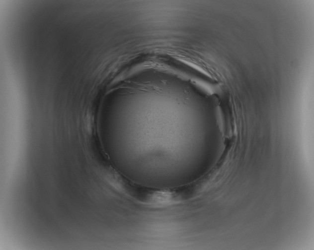 X0000111490227200907211016