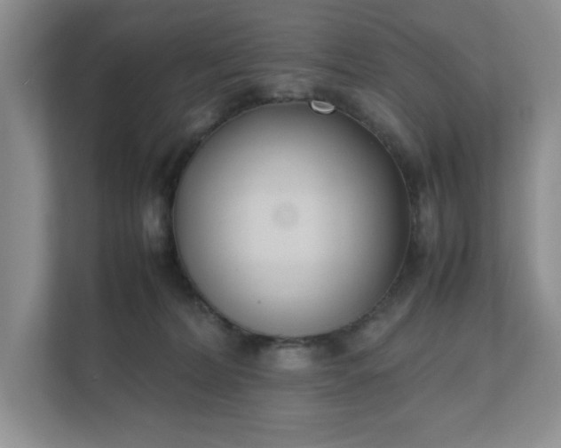 X0000111490228200907211016