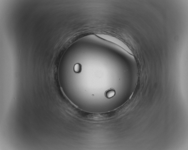 X0000111490229200907211016