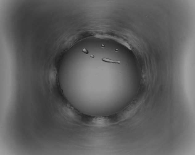 X0000111490231200907211016