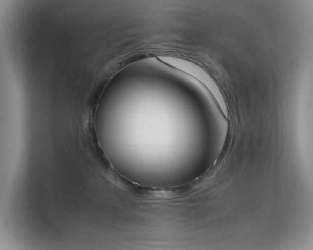 X0000111490233200907211016