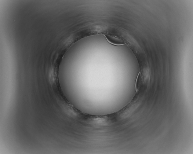 X0000111490236200907211016