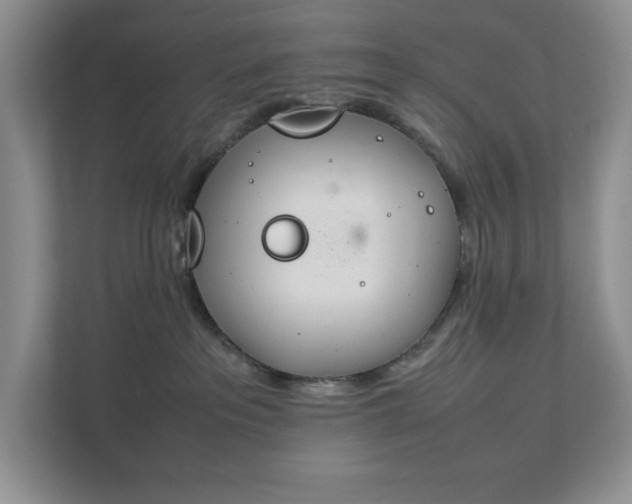 X0000111490237200907211016