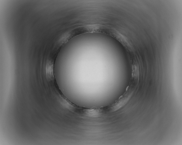 X0000111490238200907211016