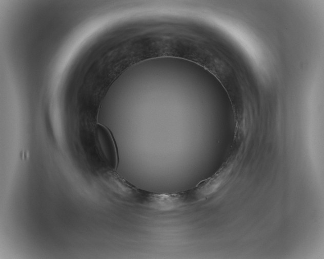 X0000111490239200907211016