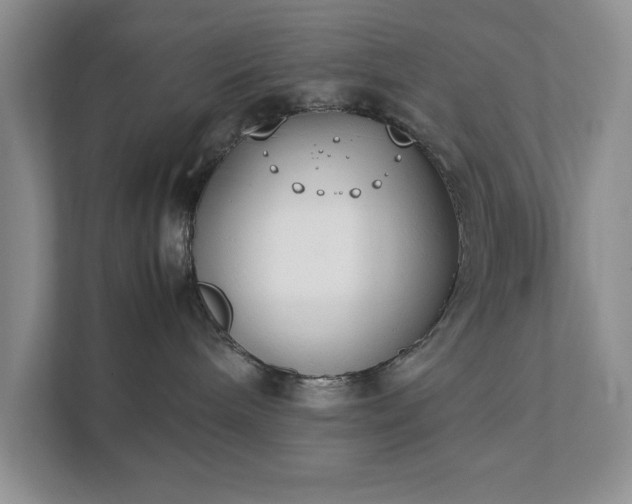 X0000111490240200907211016