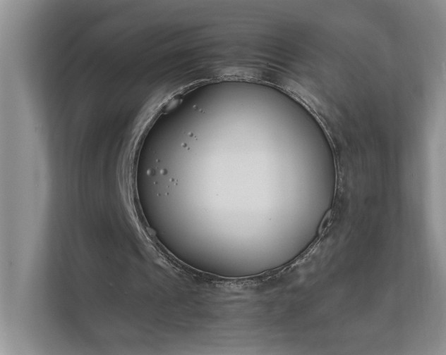 X0000111490241200907211015