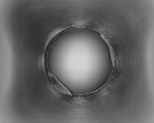 X0000111490244200907211015