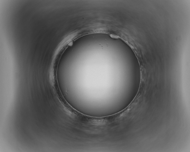 X0000111490245200907211015