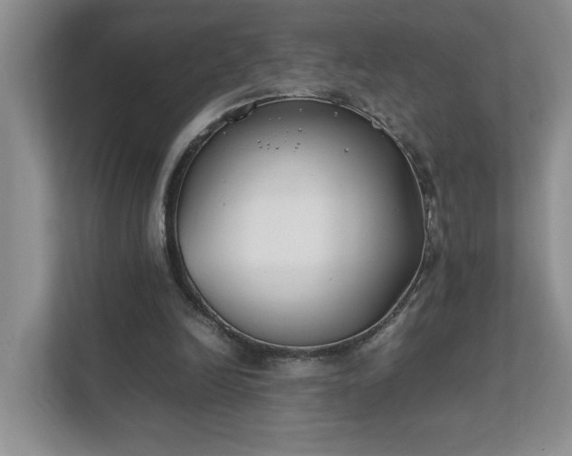 X0000111490246200907211015