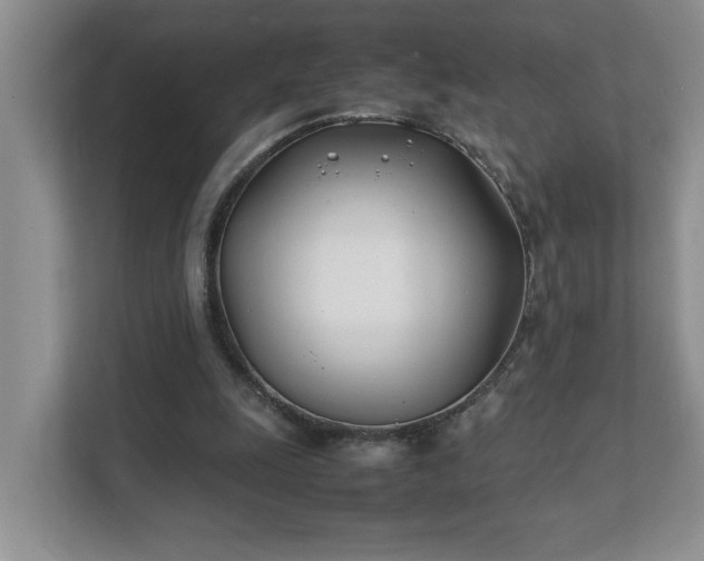 X0000111490247200907211015