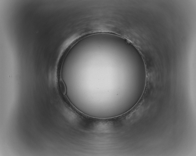 X0000111490248200907211015