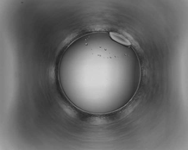 X0000111490250200907211015