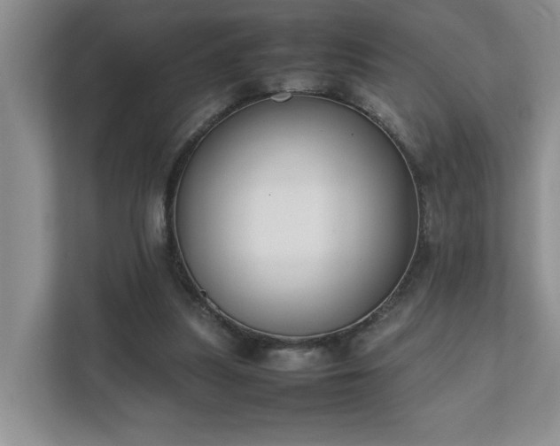 X0000111490251200907211015