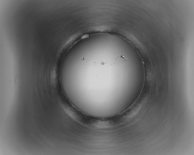 X0000111490256200907211015