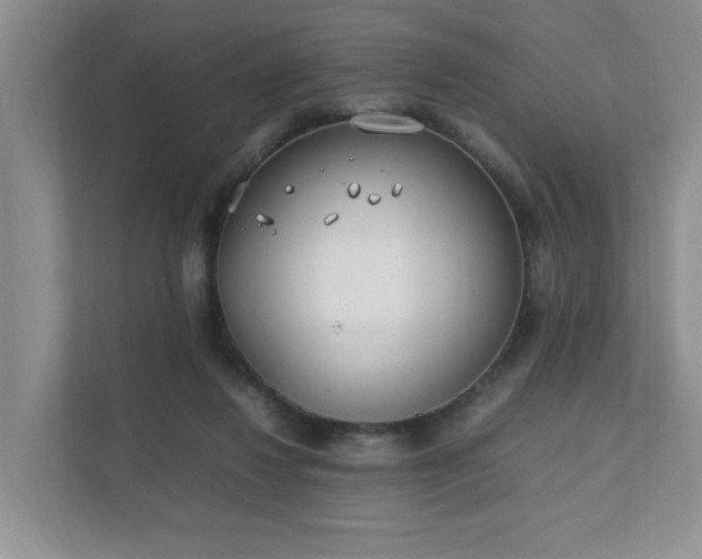 X0000111490260200907211015