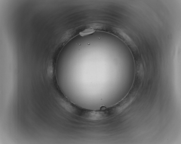 X0000111490261200907211015